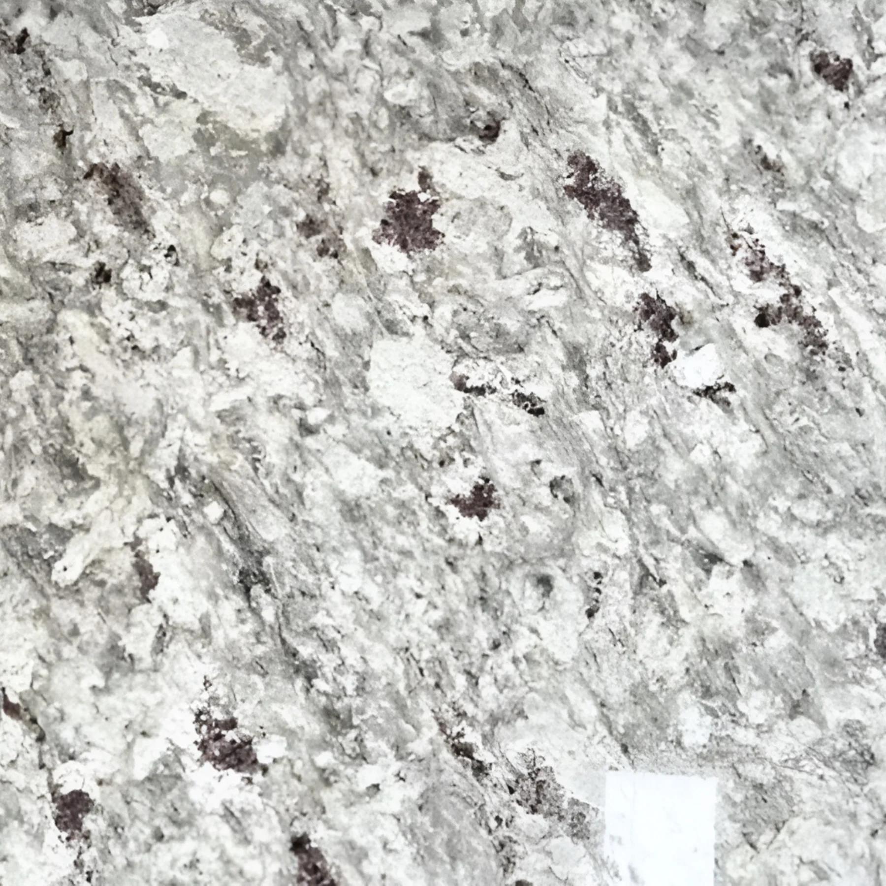 MOON WHITE